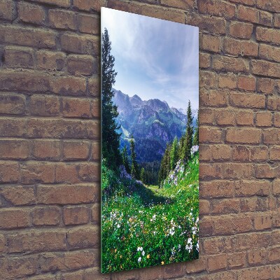 Quadro vetro verticale Alpi