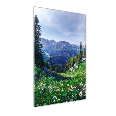 Quadro vetro verticale Alpi