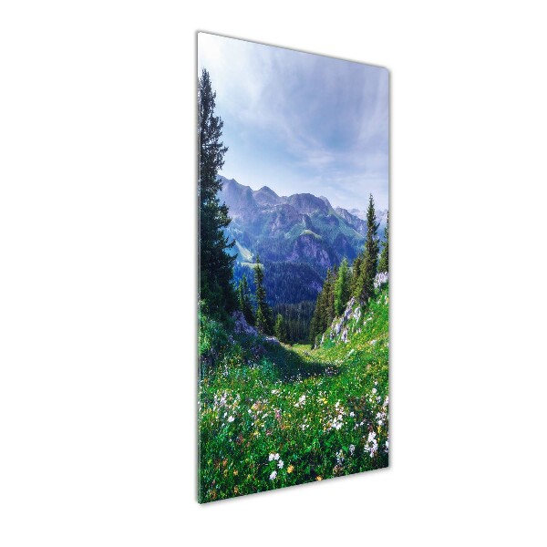 Quadro vetro verticale Alpi