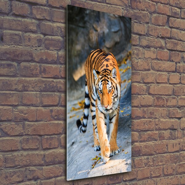 Quadro vetro verticale Tigre