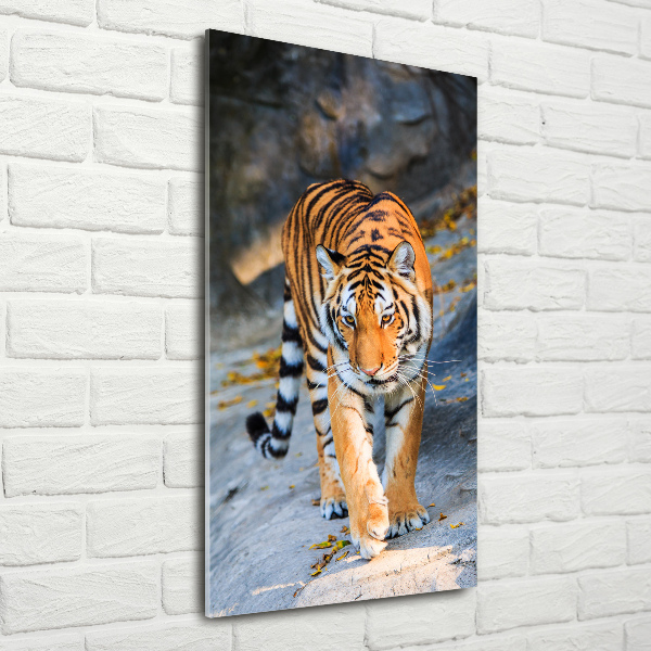 Quadro vetro verticale Tigre