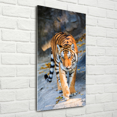 Quadro vetro verticale Tigre