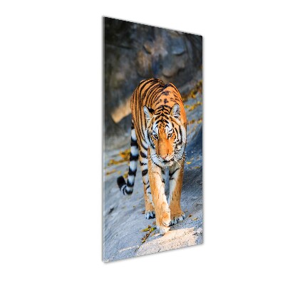 Quadro vetro verticale Tigre