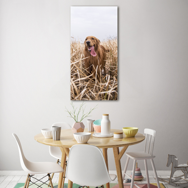 Quadro in vetro verticale Golden retriever