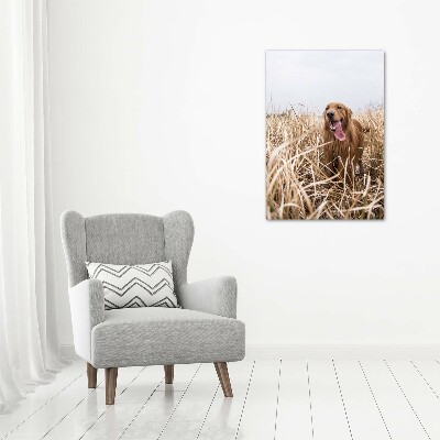 Quadro in vetro verticale Golden retriever
