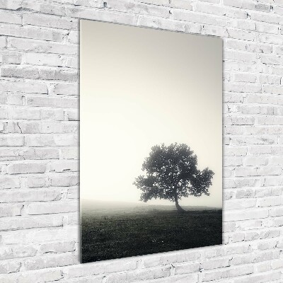 Quadro di vetro verticale Albero nella nebbia