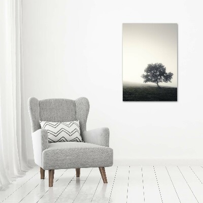 Quadro di vetro verticale Albero nella nebbia