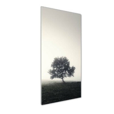 Quadro di vetro verticale Albero nella nebbia