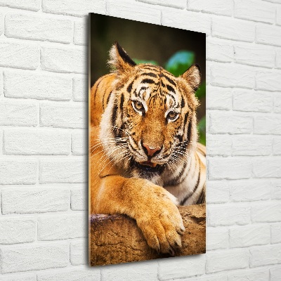 Quadro vetro verticale Tigre del Bengala