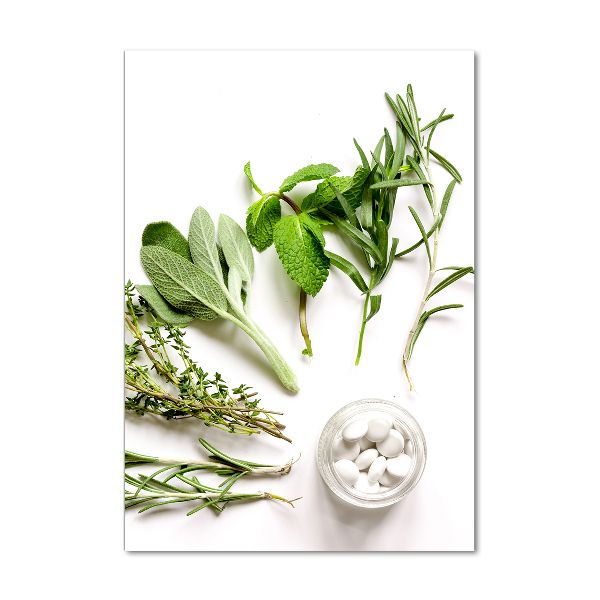 Quadro vetro verticale Erbe