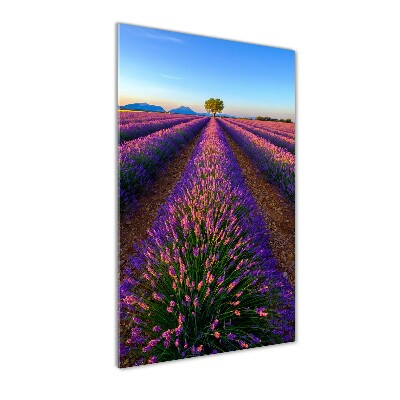 Quadro in vetro verticale Campo di lavanda