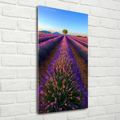 Quadro in vetro verticale Campo di lavanda