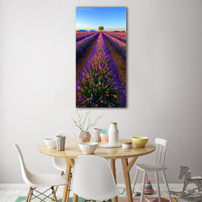 Quadro in vetro verticale Campo di lavanda