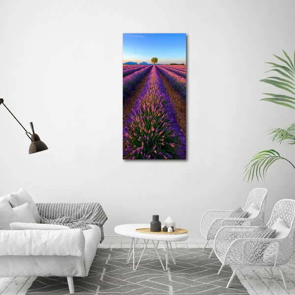 Quadro in vetro verticale Campo di lavanda