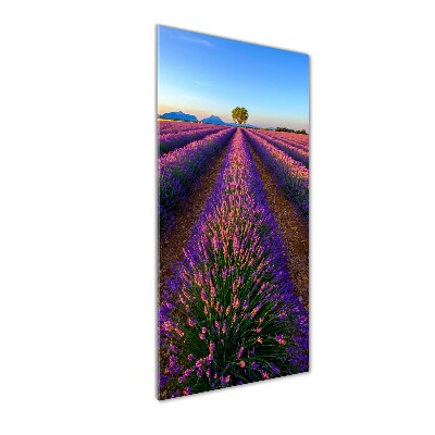 Quadro in vetro verticale Campo di lavanda