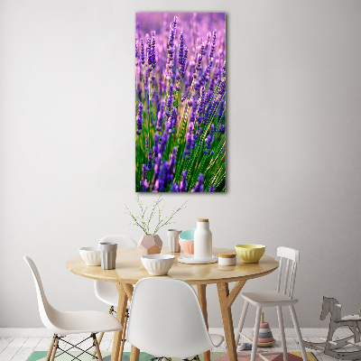 Quadro in vetro verticale Campo di lavanda