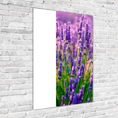 Quadro in vetro verticale Campo di lavanda
