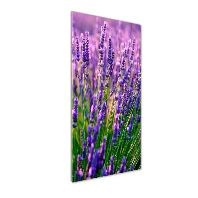 Quadro in vetro verticale Campo di lavanda