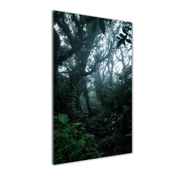 Quadro in vetro verticale Foresta pluviale