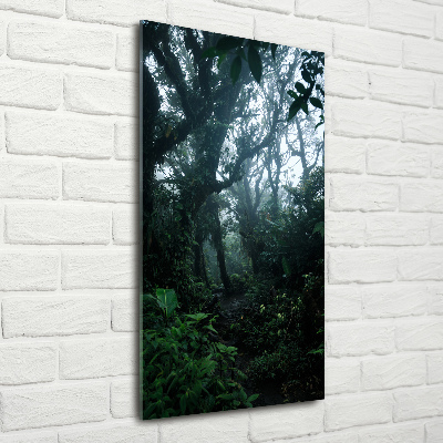 Quadro in vetro verticale Foresta pluviale