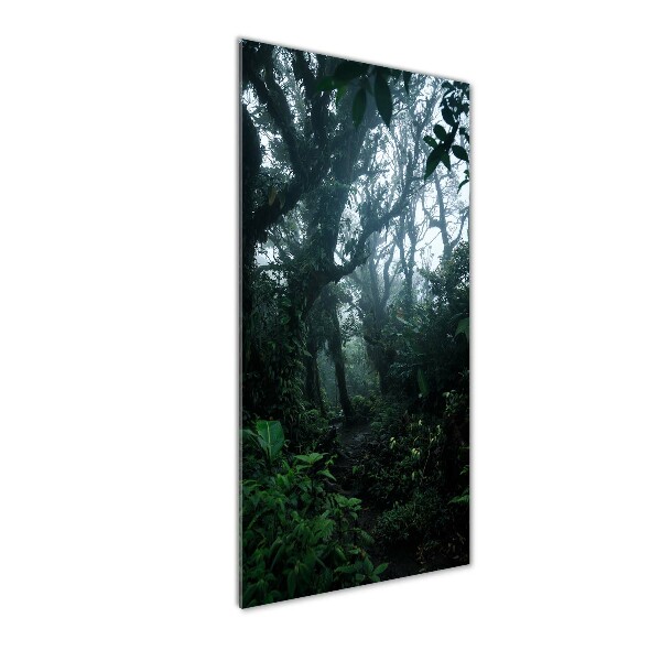 Quadro in vetro verticale Foresta pluviale