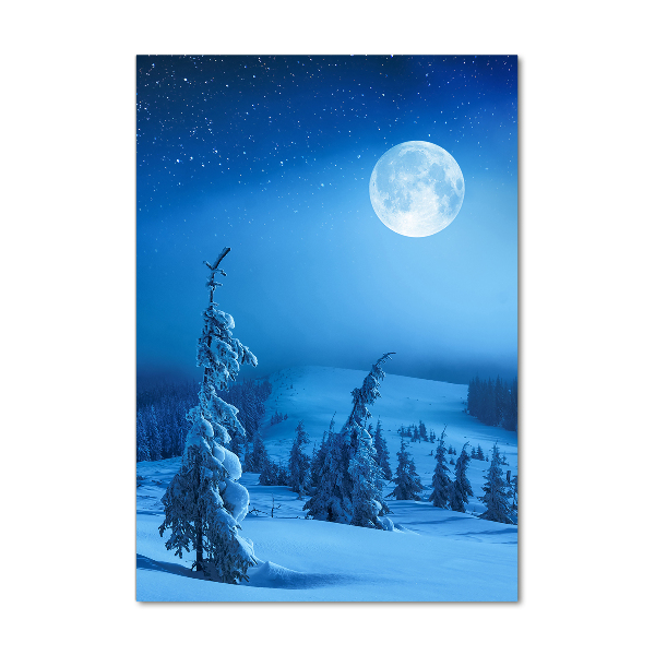 Quadro stampa su vetro verticale Luna piena