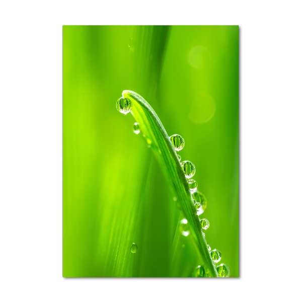 Quadro stampa su vetro verticale Fili d'erba
