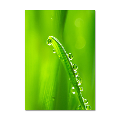Quadro stampa su vetro verticale Fili d'erba