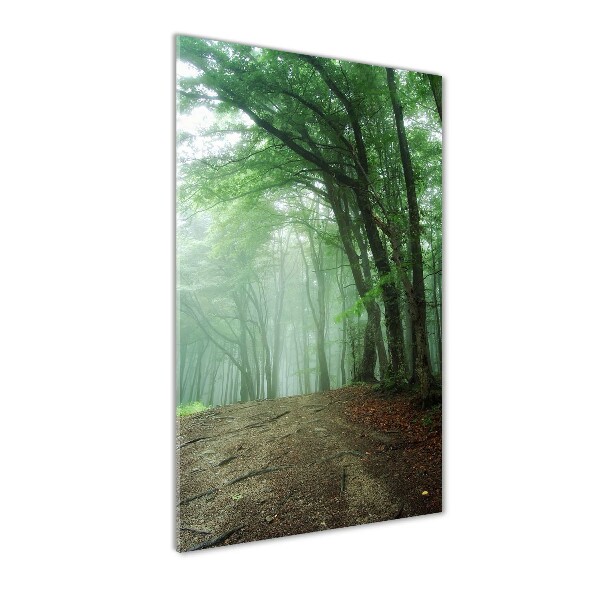 Quadro vetro verticale Nebbia nella foresta