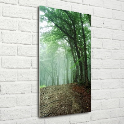 Quadro vetro verticale Nebbia nella foresta