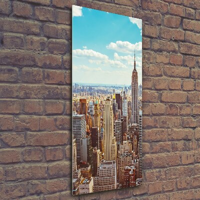 Quadro in vetro verticale Vista a volo d'uccello di New York
