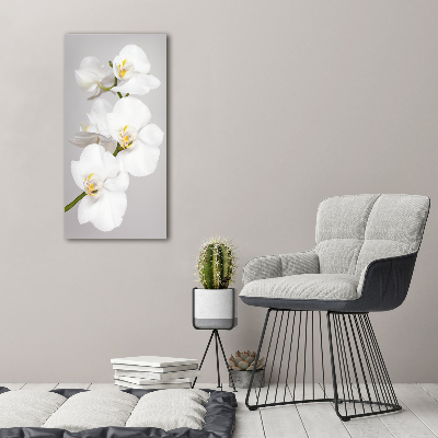 Quadro vetro verticale Orchidea bianca