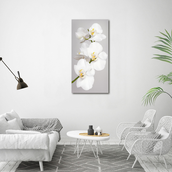 Quadro vetro verticale Orchidea bianca