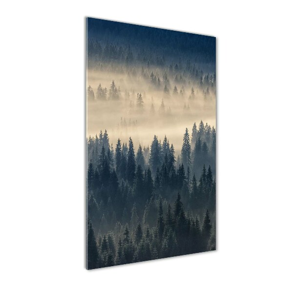 Quadro in vetro verticale Nebbia sulla foresta