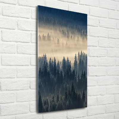 Quadro in vetro verticale Nebbia sulla foresta