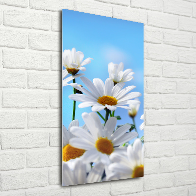 Quadro in vetro verticale Margherite