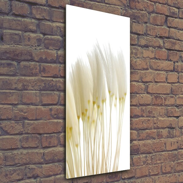 Quadro vetro verticale Semi di tarassaco