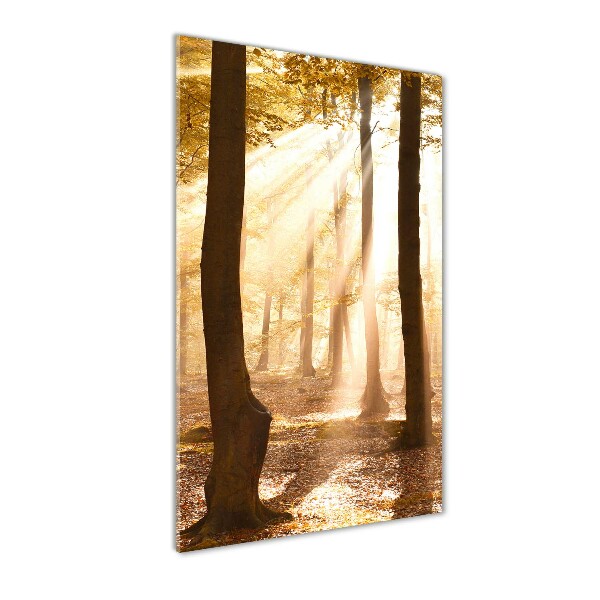 Quadro stampa su vetro verticale Foresta in autunno