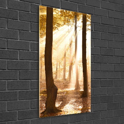Quadro stampa su vetro verticale Foresta in autunno
