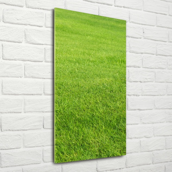 Quadro vetro verticale Erba verde