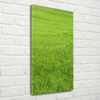 Quadro vetro verticale Erba verde