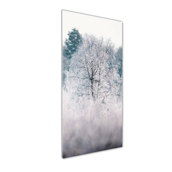 Quadro in vetro verticale Foresta in inverno