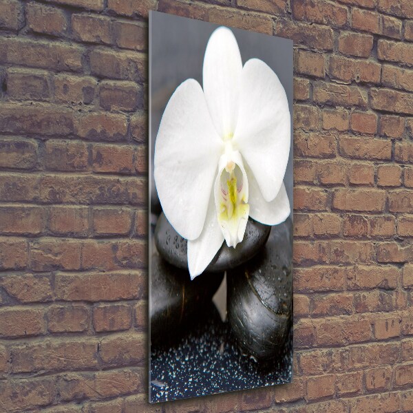 Quadro vetro verticale Orchidea e pietre