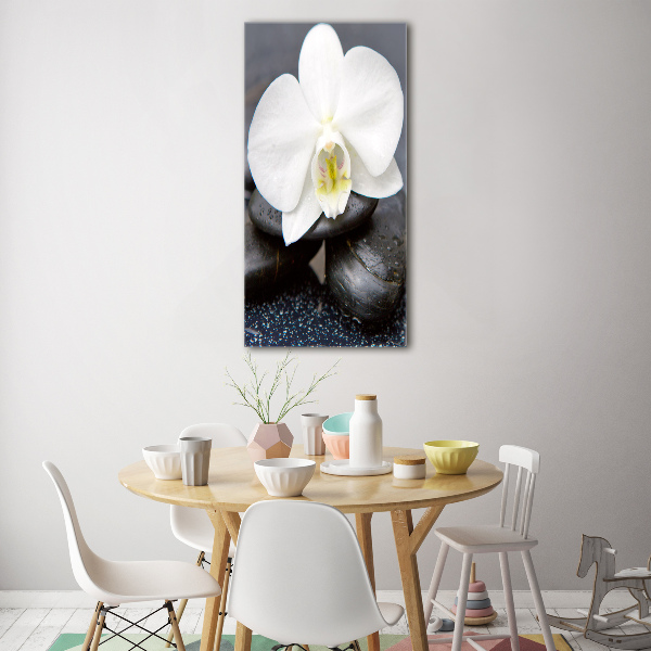Quadro vetro verticale Orchidea e pietre
