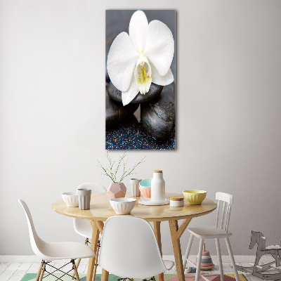 Quadro vetro verticale Orchidea e pietre