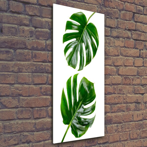 Quadro di vetro verticale Monstera