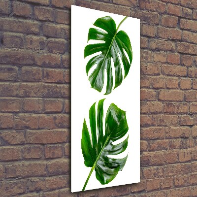 Quadro di vetro verticale Monstera