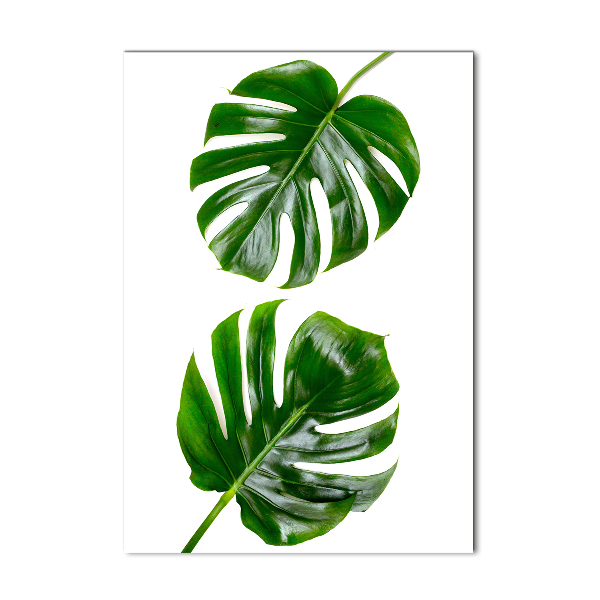 Quadro di vetro verticale Monstera