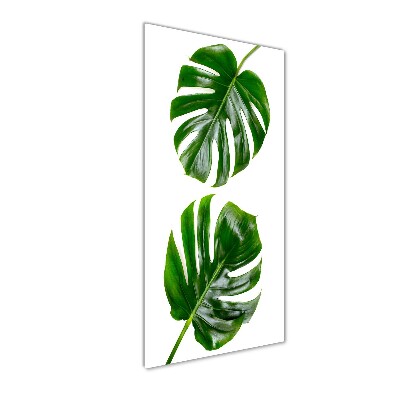 Quadro di vetro verticale Monstera