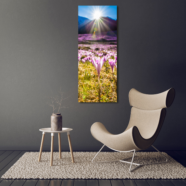 Quadro stampa su vetro verticale Crochi in montagna